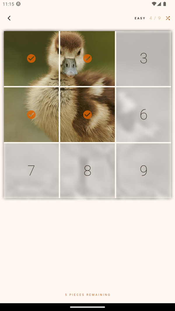 Four of nine tiles revealed